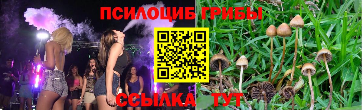 Псилоцибиновые грибы MAGIC MUSHROOMS Ишим