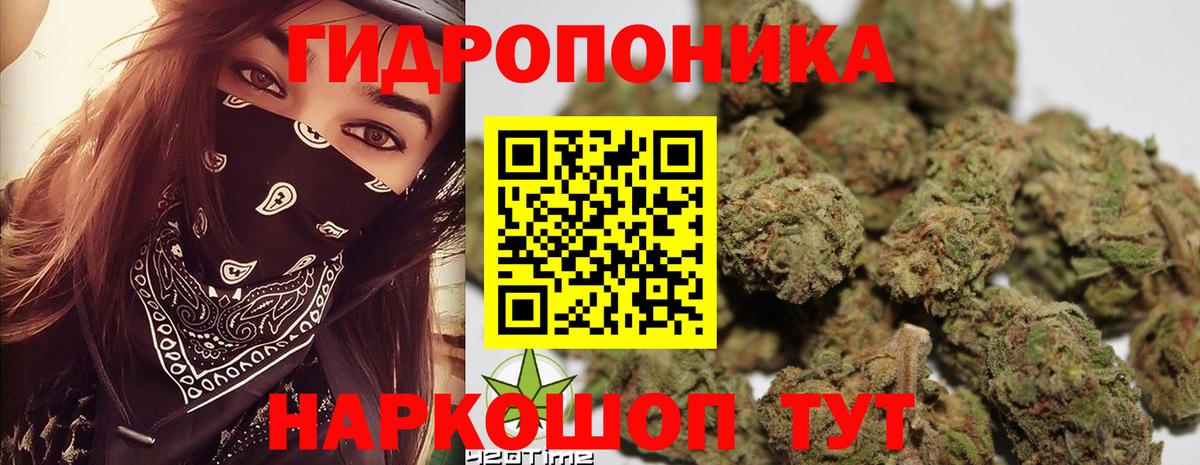 Шишки марихуана семена Ишим